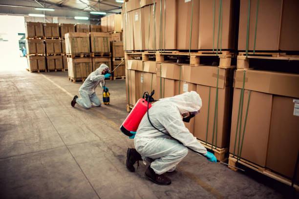 Best Pest Removal Services  in Seguin, TX