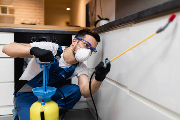 Trusted Seguin, TX Pest Control Experts