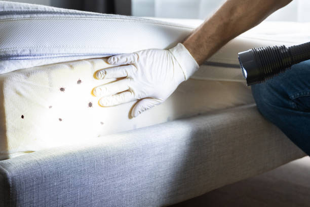 Best Best Pest Control Companies  in Seguin, TX