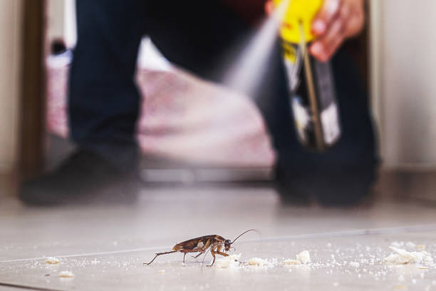 Best Insect Control  in Seguin, TX